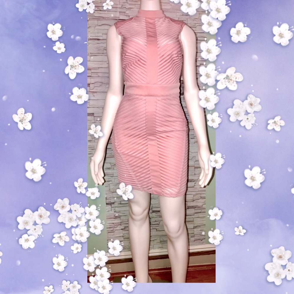FASHION NOVA• Sheer Pink Chevron Dress/ size (S)